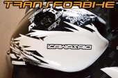KIT Z750 WHITE TRACK - Photo 3