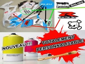 HONDA CBR 1100XX 1997-2007 Carénage CBR 1000 XX PERSO CBR XX PERSO